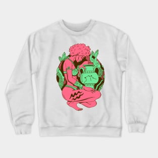 Pink Mint Aquarius Beauty Crewneck Sweatshirt